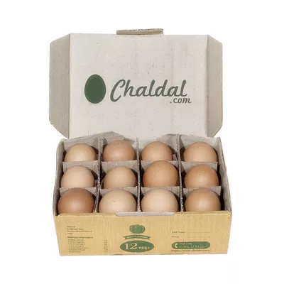 Chicken Eggs (Layer)