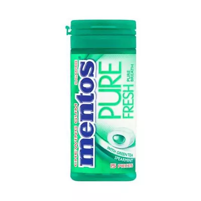 Mentos Pure Fresh Chewing Sugarfree Gum Wintergreen