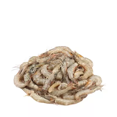 Horina Chingri (Shrimp) 60-75 pcs ±15 gm
