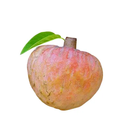 Sugar Apple (Ata Phol)