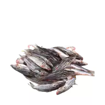 Tengra Fish Deshi ±20 gm