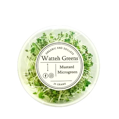 Watteh Greens Mustard Microgreen