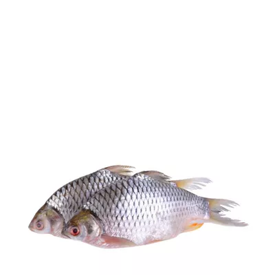 Deshi Sarputi Fish ±30 gm