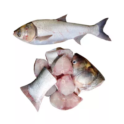 Silver Carp Fish After Cutting ±50 gm