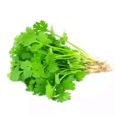 Coriander Leaves (Dhonia Pata) ± 10 gm