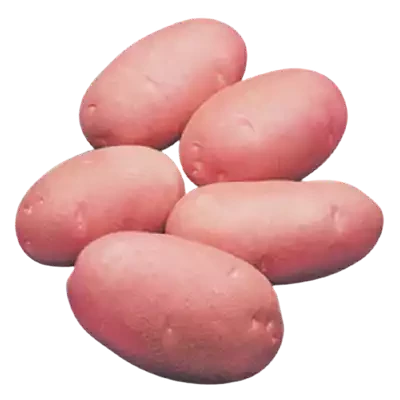 Lal Alu (Red Potato Cardinal) ± 50 gm