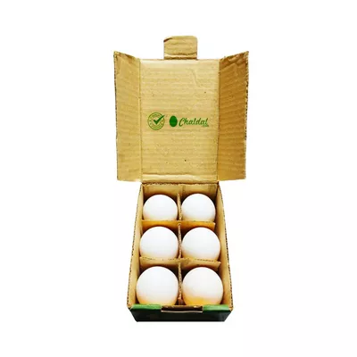 Chicken Eggs Layer (White)